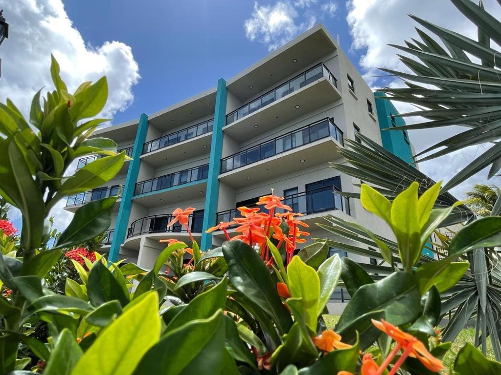 Hillsboro Condominiums บาสแตร์ ภายนอก รูปภาพ